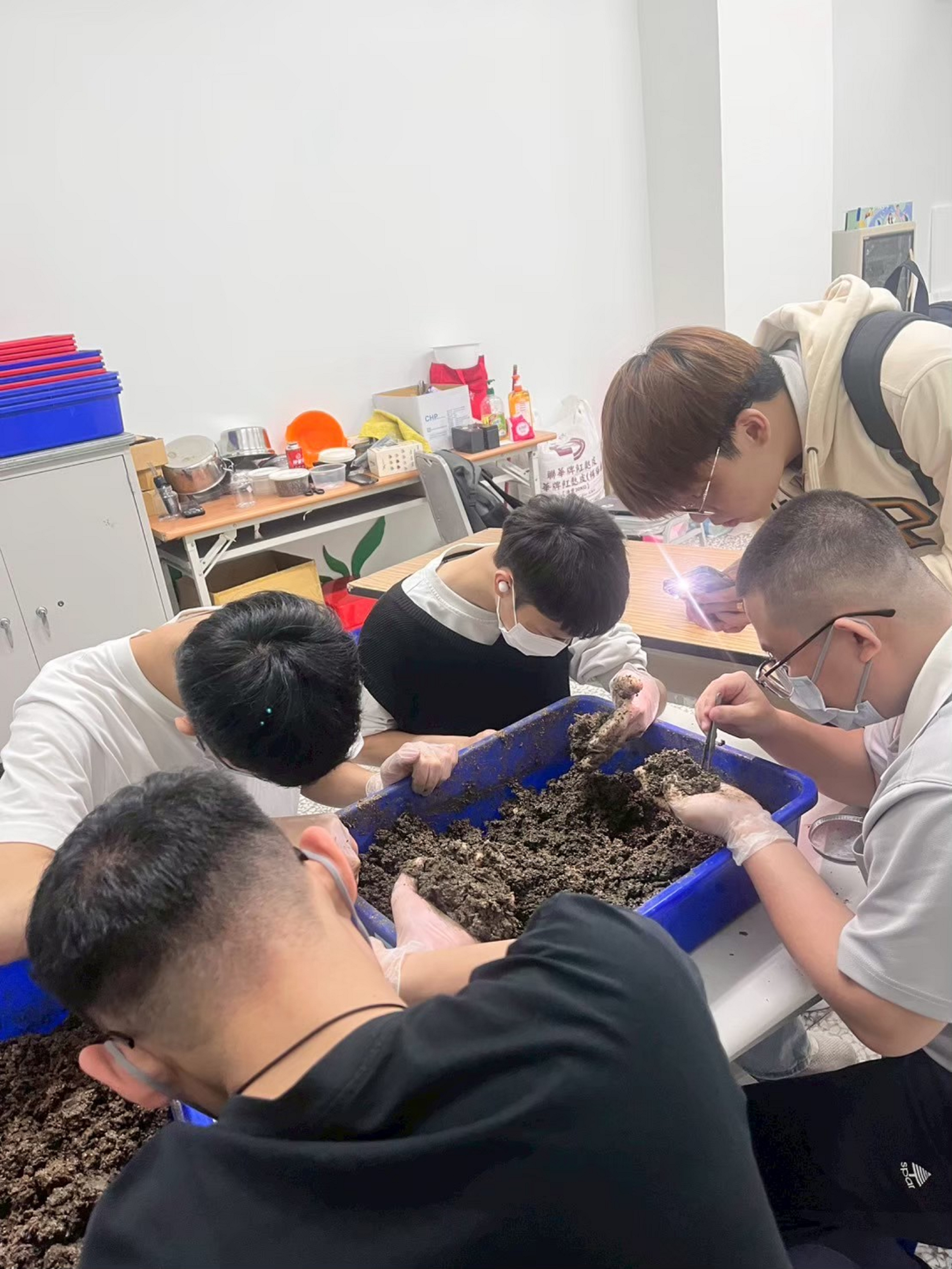 團隊成員們認真進行黑水虻去化沼渣實驗